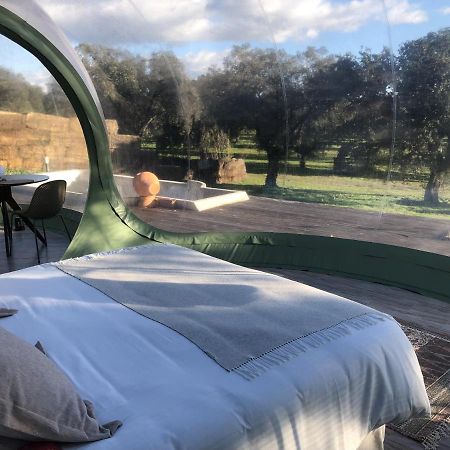 El Toril Glamping Experience Villa Parrillas Esterno foto