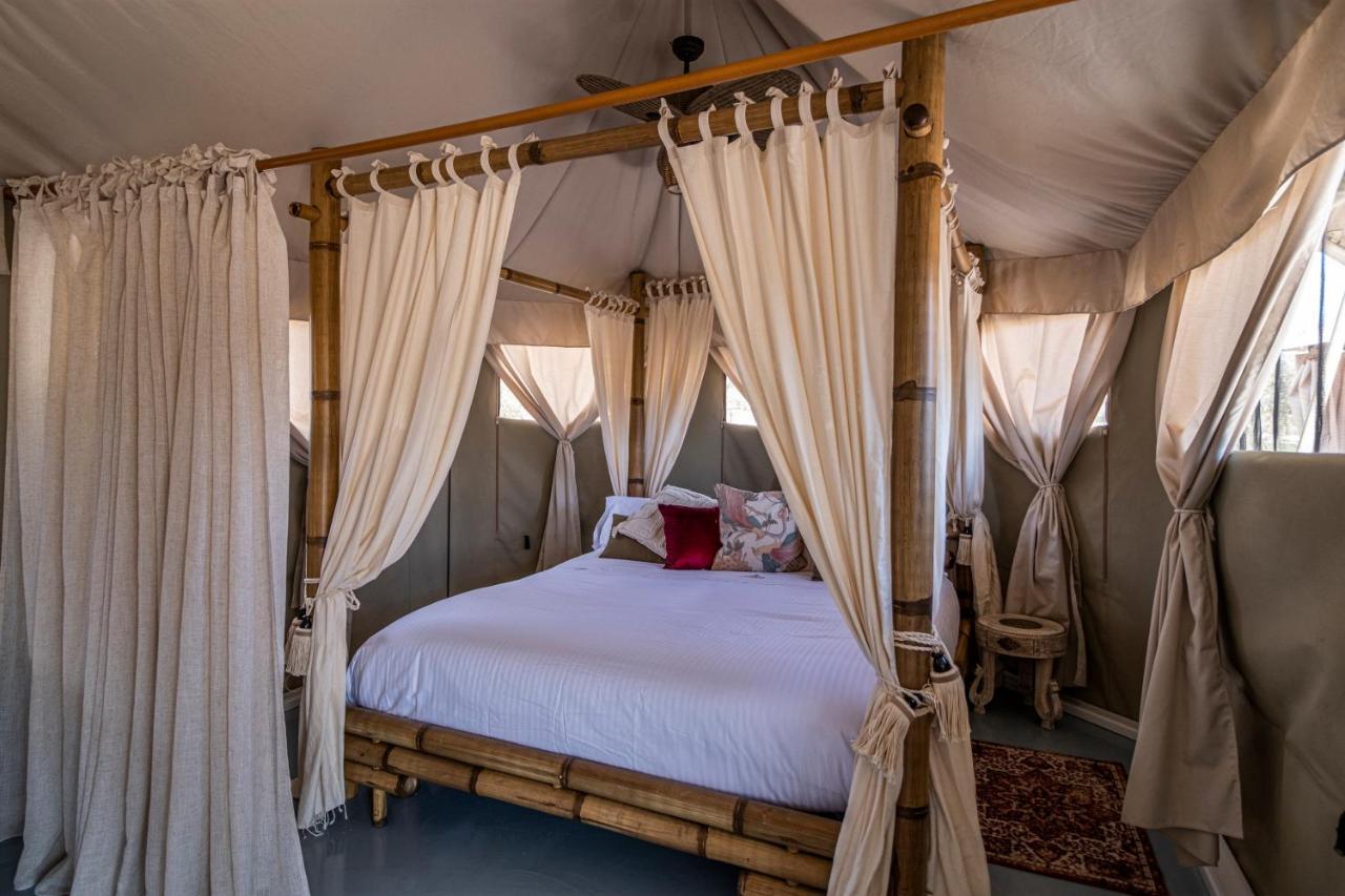 El Toril Glamping Experience Villa Parrillas Esterno foto