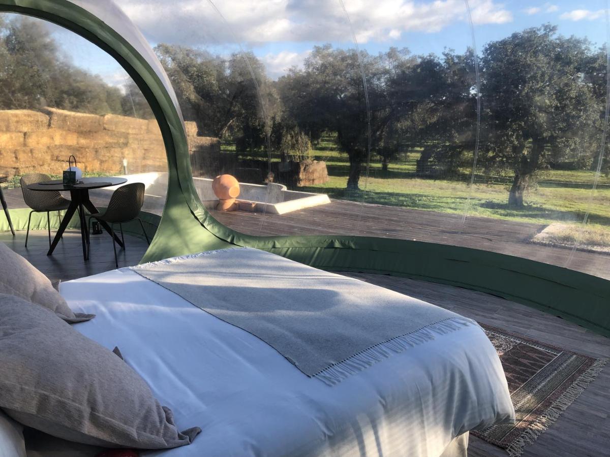 El Toril Glamping Experience Villa Parrillas Esterno foto