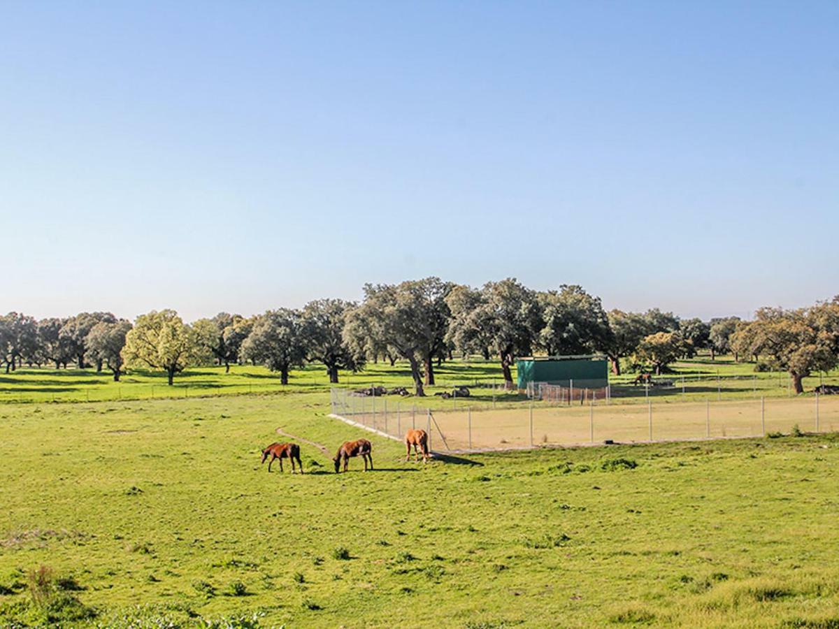 El Toril Glamping Experience Villa Parrillas Esterno foto